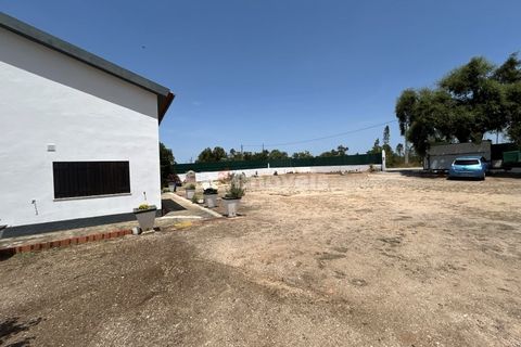 Villa i Tomar, Santarem, Tomar - € 699.500 | Ref: 02081-26 - foto 19