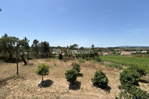 Villa i Tomar, Santarem, Tomar - € 699.500 | Ref: 02081-26 - foto 31