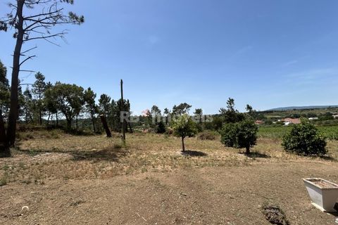 Villa i Tomar, Santarem, Tomar - € 699.500 | Ref: 02081-26 - foto 46
