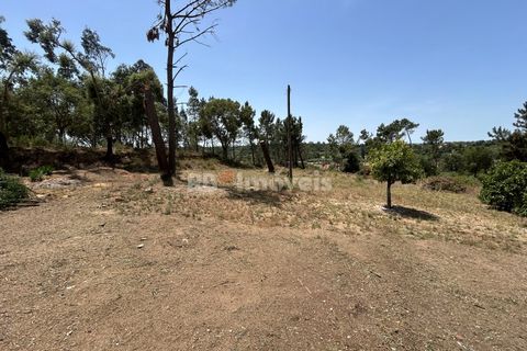Villa i Tomar, Santarem, Tomar - € 699.500 | Ref: 02081-26 - foto 47