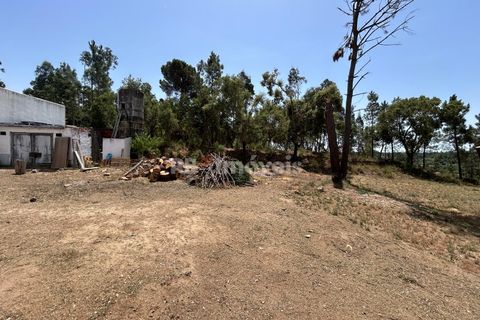 Villa i Tomar, Santarem, Tomar - € 699.500 | Ref: 02081-26 - foto 48