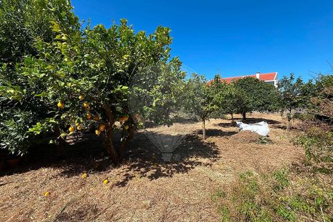 Lejlighed i Cascais, Lisbon, Cascais - € 1.350.000 | Ref: 120171458-10 - foto 12