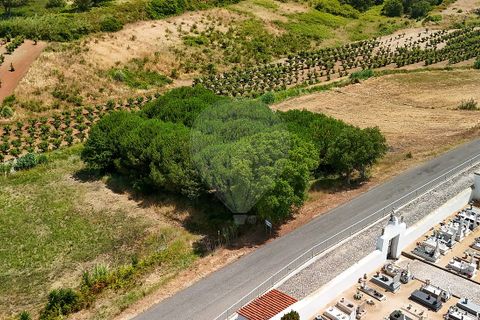 Lejlighed i Obidos, Leiria, Obidos - € 179.900 | Ref: 124181081-32 - foto 4