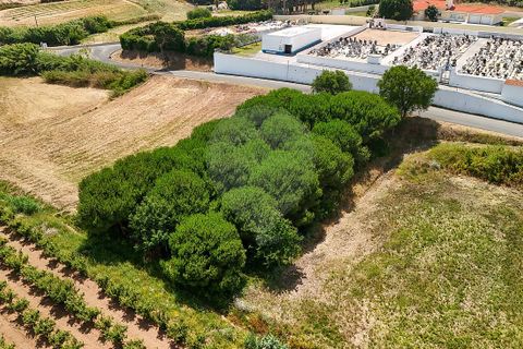 Lejlighed i Obidos, Leiria, Obidos - € 179.900 | Ref: 124181081-32 - foto 8