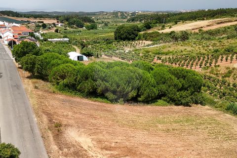 Lejlighed i Obidos, Leiria, Obidos - € 179.900 | Ref: 124181081-32 - foto 10