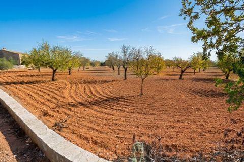 Helårsgrund i Campos, Mallorca, Campos - € 345.000 | Ref: 7909 - foto 1