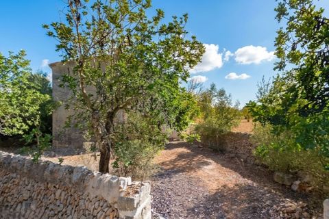 Helårsgrund i Campos, Mallorca, Campos - € 345.000 | Ref: 7909 - foto 3