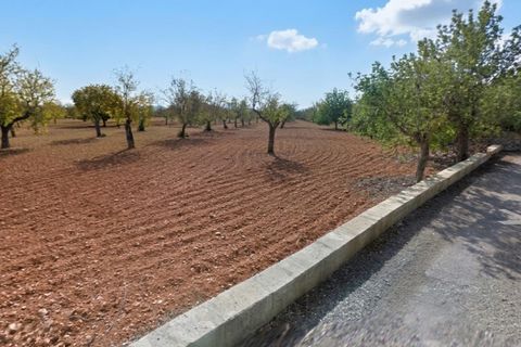 Helårsgrund i Campos, Mallorca, Campos - € 345.000 | Ref: 7909 - foto 5