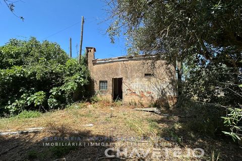 Stadthaus in Tomar, Santarem, Tomar - € 65.000 | Ref: 809/26 - Foto 3