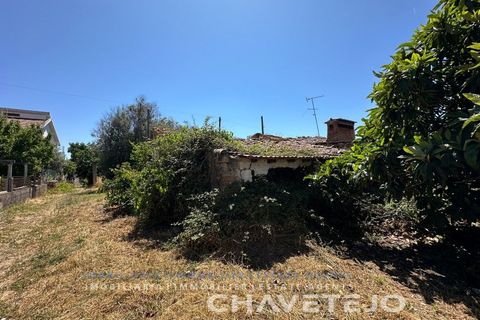 Stadthaus in Tomar, Santarem, Tomar - € 65.000 | Ref: 809/26 - Foto 6