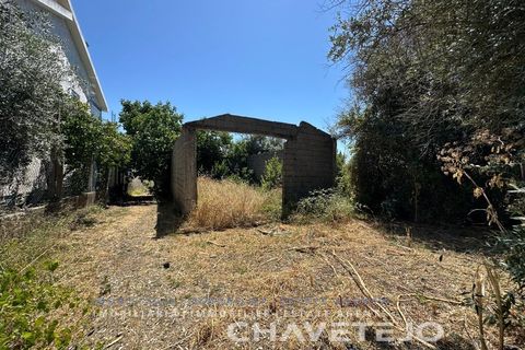 Stadthaus in Tomar, Santarem, Tomar - € 65.000 | Ref: 809/26 - Foto 9