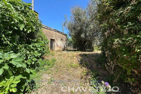 Stadthaus in Tomar, Santarem, Tomar - € 65.000 | Ref: 809/26 - Foto 11