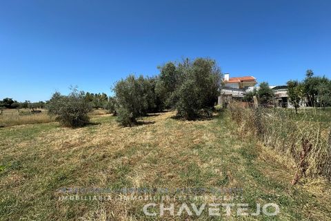 Stadthaus in Tomar, Santarem, Tomar - € 65.000 | Ref: 809/26 - Foto 14