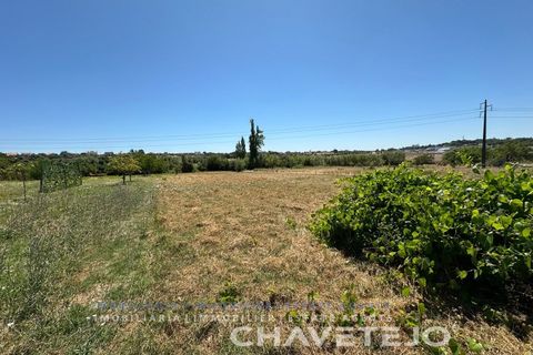 Stadthaus in Tomar, Santarem, Tomar - € 65.000 | Ref: 809/26 - Foto 15