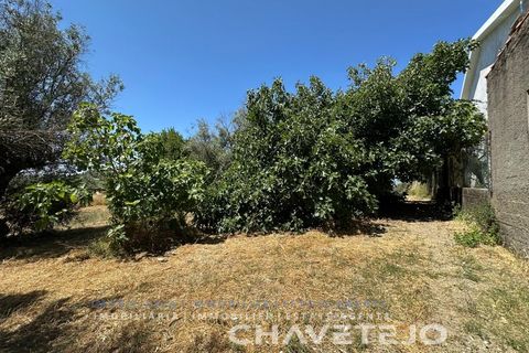 Stadthaus in Tomar, Santarem, Tomar - € 65.000 | Ref: 809/26 - Foto 17
