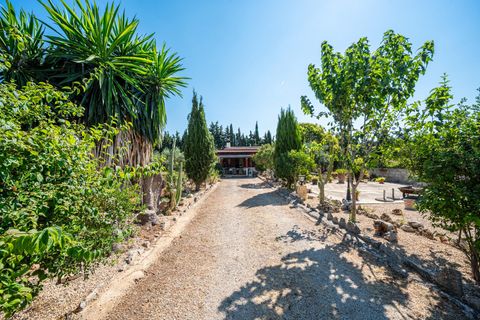 Herregård i Algaida, Mallorca, Algaida - € 369 900 | Ref: 13YRIJ002/3010 - foto 30