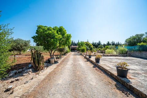 Herregård i Algaida, Mallorca, Algaida - € 369 900 | Ref: 13YRIJ002/3010 - foto 33