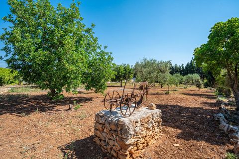 Herregård i Algaida, Mallorca, Algaida - € 369 900 | Ref: 13YRIJ002/3010 - foto 34