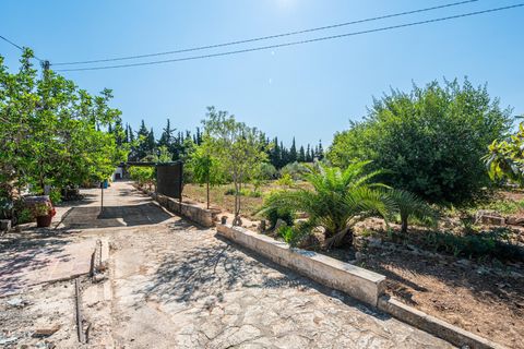 Herregård i Algaida, Mallorca, Algaida - € 369 900 | Ref: 13YRIJ002/3010 - foto 35