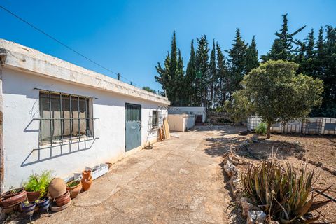 Herregård i Algaida, Mallorca, Algaida - € 369 900 | Ref: 13YRIJ002/3010 - foto 36