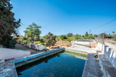 Herregård i Algaida, Mallorca, Algaida - € 369 900 | Ref: 13YRIJ002/3010 - foto 37