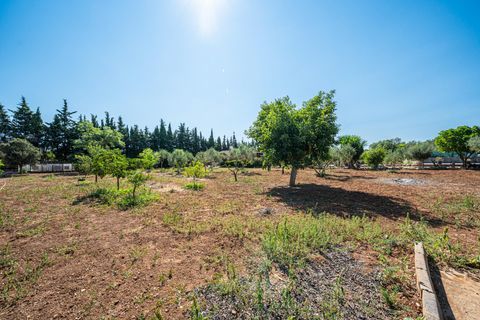 Herregård i Algaida, Mallorca, Algaida - € 369 900 | Ref: 13YRIJ002/3010 - foto 38