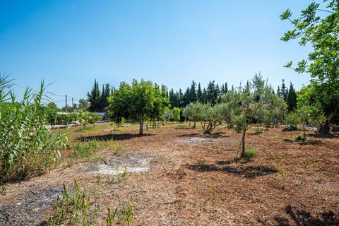 Herregård i Algaida, Mallorca, Algaida - € 369 900 | Ref: 13YRIJ002/3010 - foto 39