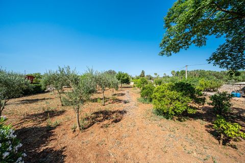 Herregård i Algaida, Mallorca, Algaida - € 369 900 | Ref: 13YRIJ002/3010 - foto 40