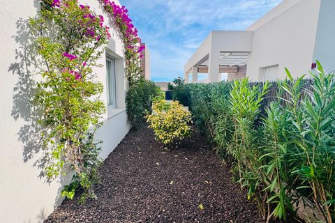 Villa a Algorfa, Alicante, Algorfa - € 540.000 | Ref: PA-40410 - foto 33