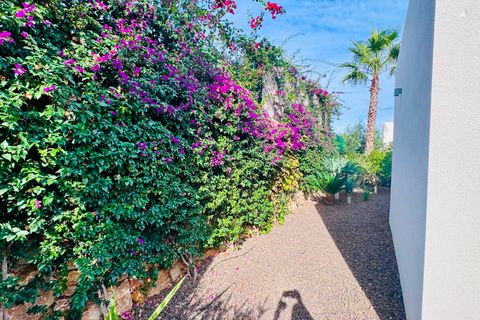 Villa a Algorfa, Alicante, Algorfa - € 540.000 | Ref: PA-40410 - foto 34