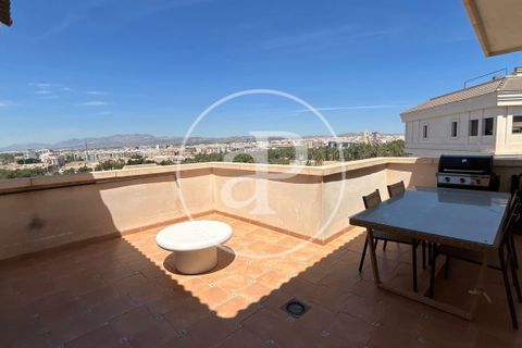Apartment in Elche, Alicante, Elche - € 1,800/month | Ref: AV2607065 - photo 2