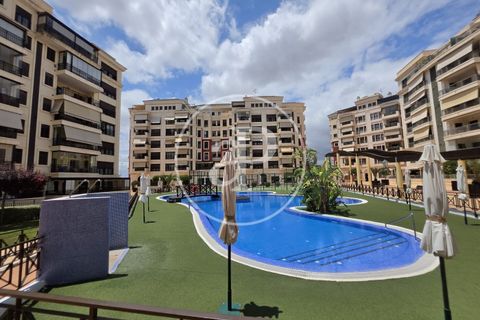 Apartment in Elche, Alicante, Elche - € 1,800/month | Ref: AV2607065 - photo 20