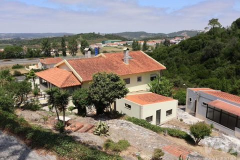 Farm i Bombarral, Leiria, Bombarral - € 750.000 | Ref: 969753 - foto 4