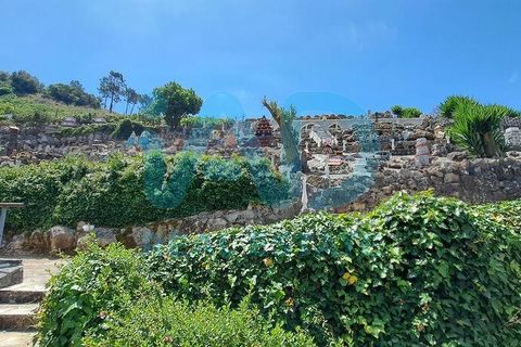 Farm i Bombarral, Leiria, Bombarral - € 750.000 | Ref: 969753 - foto 5