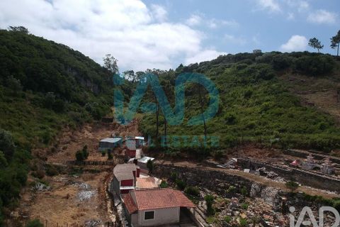Farm i Bombarral, Leiria, Bombarral - € 750.000 | Ref: 969753 - foto 9
