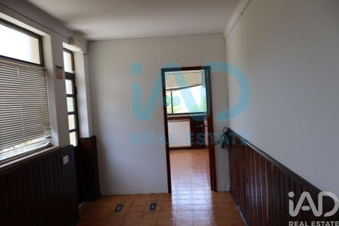 Farm i Bombarral, Leiria, Bombarral - € 750.000 | Ref: 969753 - foto 16