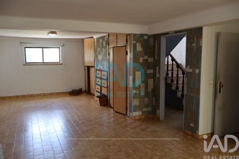 Farm i Bombarral, Leiria, Bombarral - € 750.000 | Ref: 969753 - foto 17