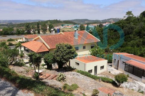Farm i Bombarral, Leiria, Bombarral - € 750.000 | Ref: 969753 - foto 22