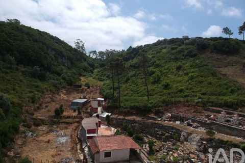 Farm i Bombarral, Leiria, Bombarral - € 750.000 | Ref: 969753 - foto 25