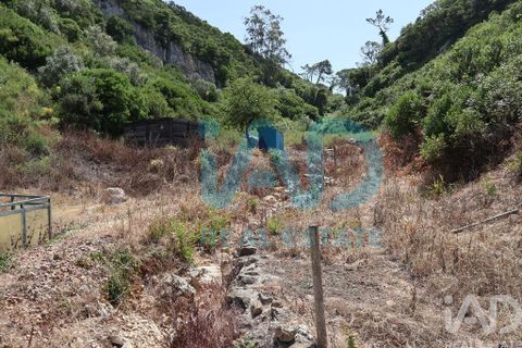 Farm i Bombarral, Leiria, Bombarral - € 750.000 | Ref: 969753 - foto 28