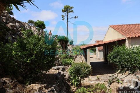 Farm i Bombarral, Leiria, Bombarral - € 750.000 | Ref: 969753 - foto 29