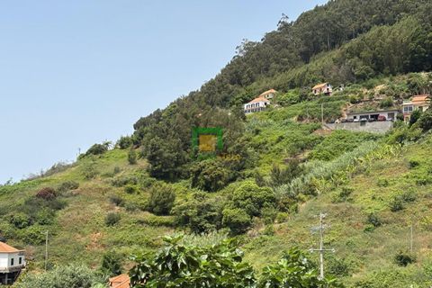 Terra a Ribeira Brava, Madeira, Ribeira Brava - € 138.000 | Ref: CT-1909/2026 - foto 2