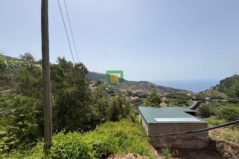 Terra a Ribeira Brava, Madeira, Ribeira Brava - € 138.000 | Ref: CT-1909/2026 - foto 4