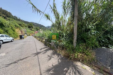 Terra a Ribeira Brava, Madeira, Ribeira Brava - € 138.000 | Ref: CT-1909/2026 - foto 5