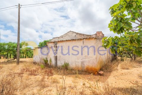 Masia a Guia, Faro, Guia - € 480.000 | Ref: X3-03 (PR-027) - foto 5