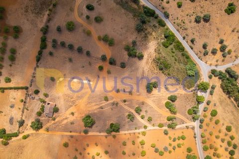 Masia a Guia, Faro, Guia - € 480.000 | Ref: X3-03 (PR-027) - foto 16