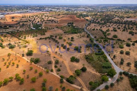 Masia a Guia, Faro, Guia - € 480.000 | Ref: X3-03 (PR-027) - foto 19