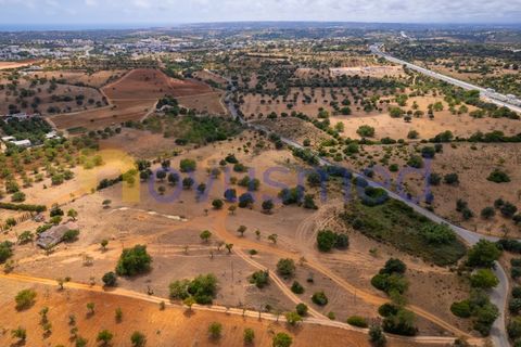 Masia a Guia, Faro, Guia - € 480.000 | Ref: X3-03 (PR-027) - foto 20