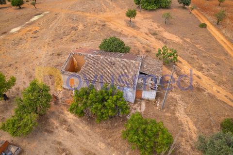 Masia a Guia, Faro, Guia - € 480.000 | Ref: X3-03 (PR-027) - foto 28