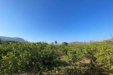Landejendom i Alora, Malaga, Alora - € 395.000 | Ref: EXP15053/8930 - foto 9